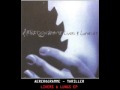Aereogramme - Thriller 