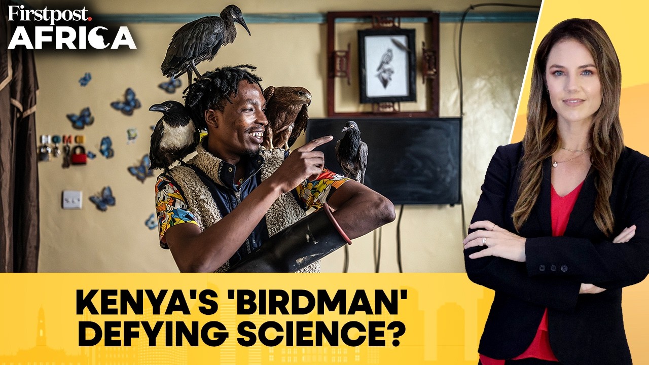 Kenya: 'Nairobi Birdman' Shares Life and Home With Wild City Birds | Resurgent Africa | N18G