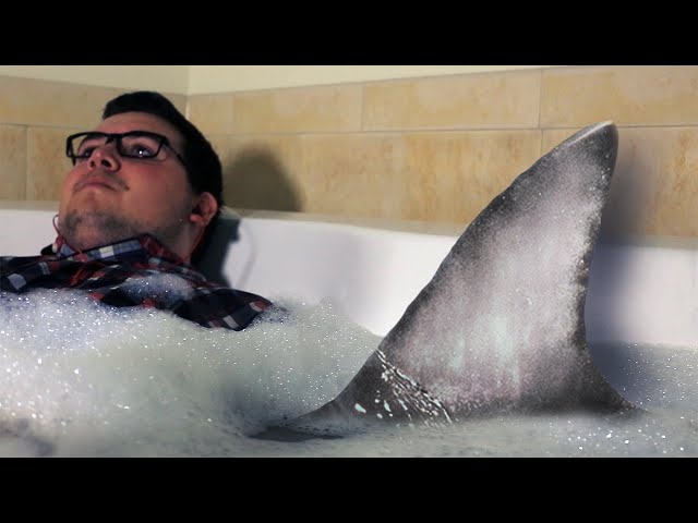 Shark Tub!!