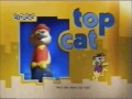 Boomerang Bumpers LA Top Cat