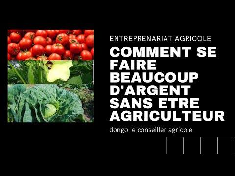 , title : 'entreprenariat agricole:4 idées de business pour se faire beaucoup d'argent'