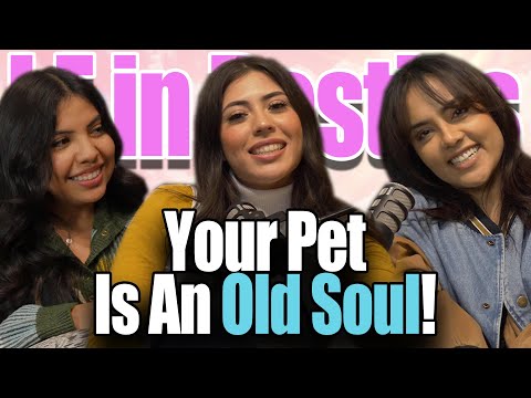 Besties Ep. 37 - Your Pets Are Old Souls! Fear Based Churches, Fighting Men & More!