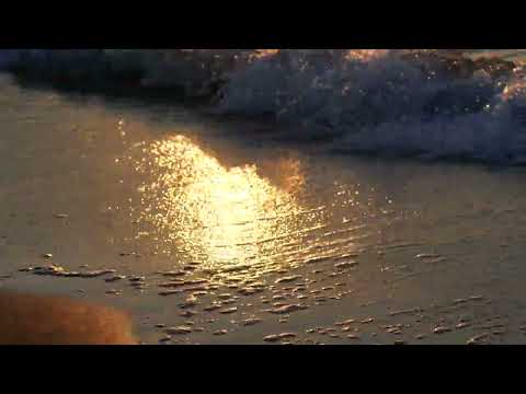 Movement of Water at Beach | Travel Videos