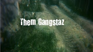 Them Gangstaz