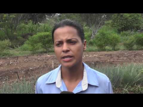 DOCUMENTÁRIO GESTÃO CADEIAS PRODUTIVAS EM ALTA FLORESTA MT E A COMUNICAÇÃO SOCIOAMBIENTAL PROJETO