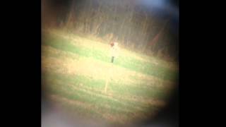 Halfcocked Hostage Target 800yd Cropped