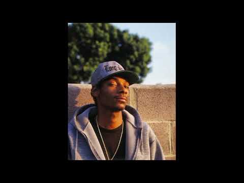 [FREE] Snoop Dogg × Dr. Dre G Funk Type Beat - "Another One"