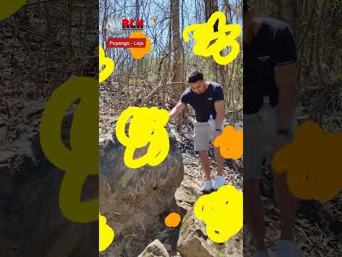 Un viaje de 100 millones de años en el corazón de Loja - Bosque petrificado de Puyango 