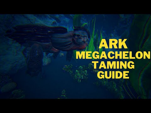Giant Turtle how to tame a Megachelon Ark Survival Evolved