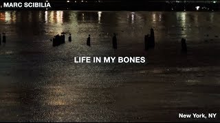 Marc Scibilia - Life In My Bones (Acoustic)