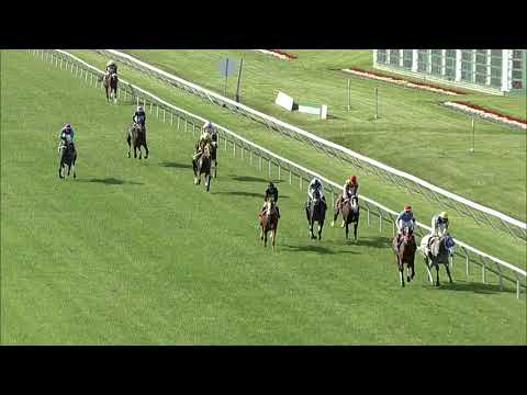 Fifty Sheas Ofgrey Maiden Win Monmouth Park