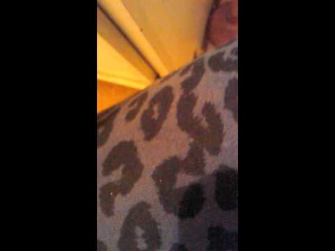 Miss Pitt Hot Nigga Remix