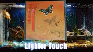 Lighter Touch = Heart = Dog & Butterfly