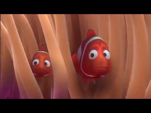Finding Nemo - First Day Of School