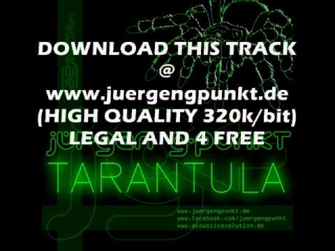 Jürgen G Punkt   Tarantula