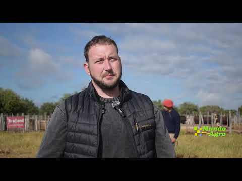 🔵🐂REMATE ANUAL Estancia Las Corzuelas, Quilino - Martes 4 agosto►Marcos Mizzau, Cabaña Los Socavones