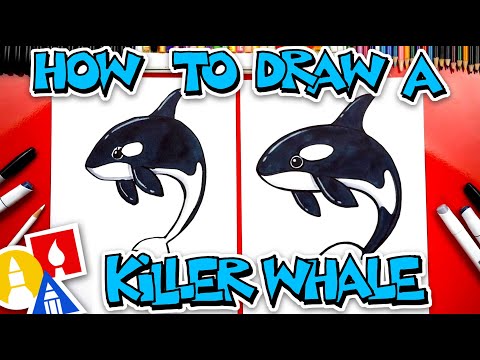 How To Draw A Killer Whale (Orca)