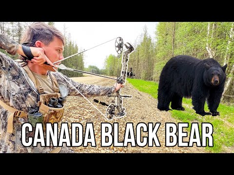 I Hunted Black Bears in Canada for the First Time!!