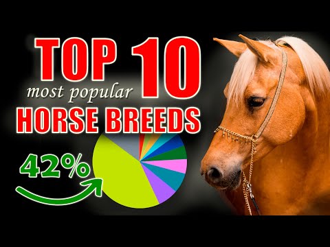 Top 10 Most Popular Horse Breeds: Find Your Perfect Equine Match!