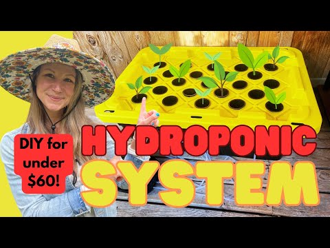 DIY Plastic Tote Hydroponic System For Under $60 (Step-by-Step Guide!)
