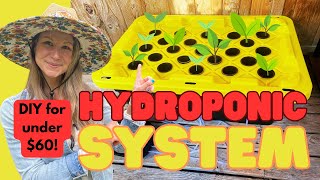 Thumbnail for video: DIY Plastic Tote Hydroponic System For Under $60 (Step-by-Step Guide!)