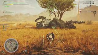 音量テストワイルズ