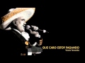 Vicente Fernandez - Que Caro Estoy Pagando