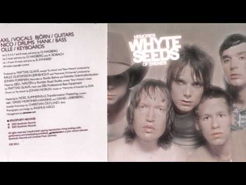 The Whyte Seeds - Lost my love
