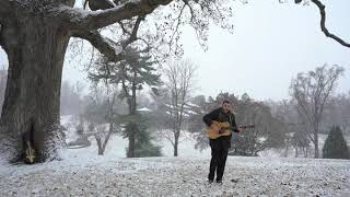 The Tree (Video Trailer 1)