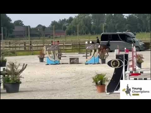 Topaze van het Reigershof