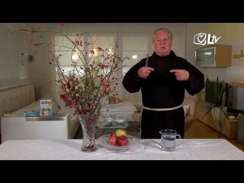 Zlatni savjeti – Divlji šipak i nar