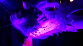 September Mourning     Children Of fate