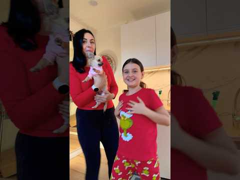 Máme pejska??? 🐶#nagyoski#dog#czech#