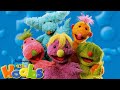 The Hoobs Iver Groove And Tula We Re Hoobs And They Re Ready To Go Show Episodes Review