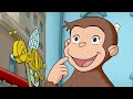 Coco Der Wetter Affe Coco Der Neugierige Cartoons Für Kinder