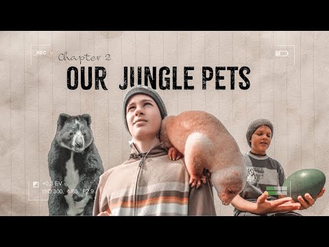 Chapter 2: Our Jungle Pets—collage of a bear on the left, a boy with a sloth on his shoulder in the center, and another boy holding a green egg on the right.