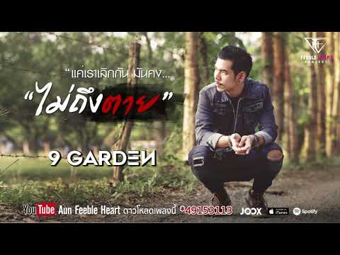 คอร์ดเพลง ไม่ถึงตาย - 9 Garden | Popasia