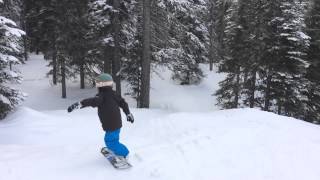 Pancho Goes Boarding at Big White For His 5th Birthday