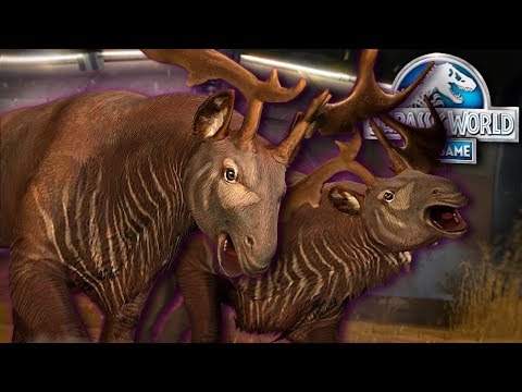 INDRICOCEROS | NEW CENOZOIC HYBRID UNLOCKED! - Jurassic World - The Game | Ep. 296