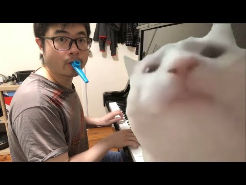 Cat Vibing to Ievan Polkka (Kazoo and Piano Version)