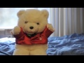 Bear Has The Sniffles