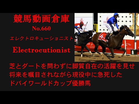 【競馬】エレクトロキューショニスト　Electrocutionist【No660】