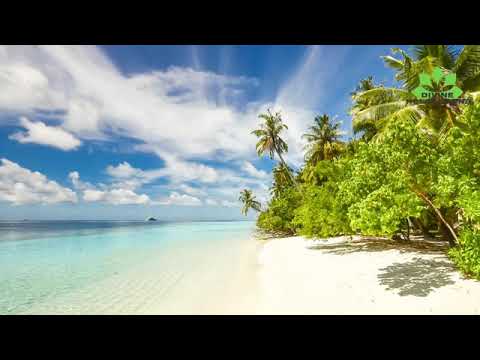 Beautiful Relaxation And Peaceful Music For Meditation And Stress