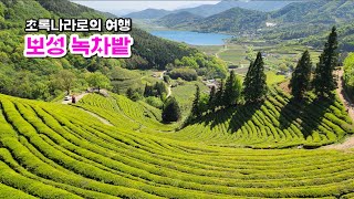 [4K] Un viaggio nella terra verde_Campi di tè verde di Boseong (Daehan Dawon, Osservatorio dei campi di tè, Area di sosta di Botjae, Ristorante di cardi Goryeohweogwan di Beolgyo)