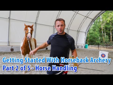 Getting Started With Horseback Archery (Part 2 of 5) Horse Handling