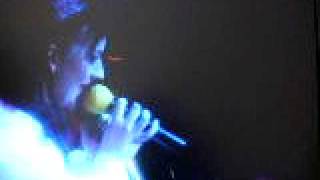 culture club - melting pot