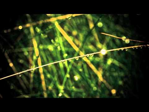 Ferry Corsten vs Armin van Buuren feat. Jaren - Because The Unforgivable (Cerf & Mitiska Mashup)