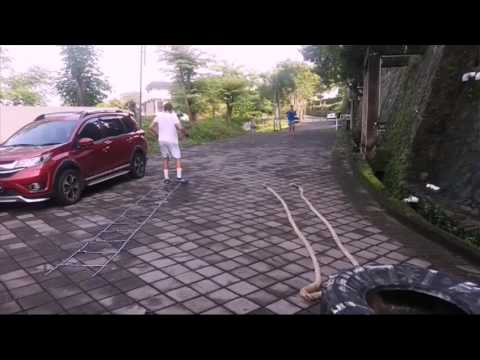 Strength and Conditioning for Tennis Athletes