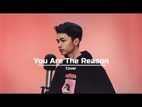 John Derek - You Are The Reason (Cover)