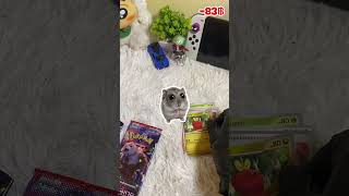 เปิดซองหมอกสีชาด⚡️ #PokemonTCG #หมอกสีชาด #เปิดซองโปเกมอน #PokemonShorts #TCGไทย #shorts #เปิดซอง